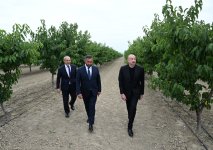 Президент Ильхам Алиев принял участие в открытии Евлахского пилотного агропарка (ФОТО)