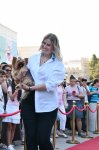 В старинной части Баку прошло дефиле с участием домашних животных (ФОТО)