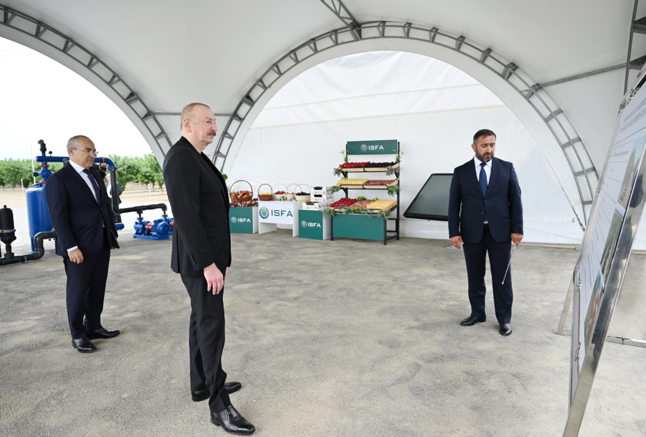 Президент Ильхам Алиев принял участие в открытии Евлахского пилотного агропарка (ФОТО)