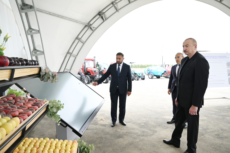 Президент Ильхам Алиев принял участие в открытии Евлахского пилотного агропарка (ФОТО)