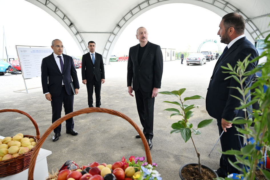 Президент Ильхам Алиев принял участие в открытии Евлахского пилотного агропарка (ФОТО)