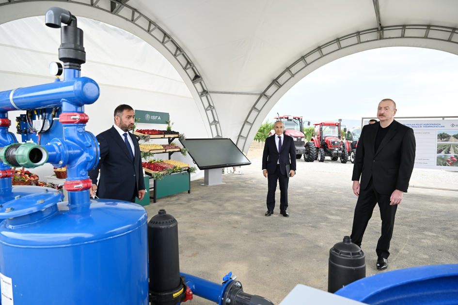 Президент Ильхам Алиев принял участие в открытии Евлахского пилотного агропарка (ФОТО)