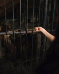 Вице-президент Фонда Гейдара Алиева Лейла Алиева и руководитель Баку Медиа Центра Арзу Алиева посетили Алтыагаджский национальный парк (ФОТО)