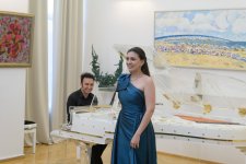 Вена встретила азербайджанскую культурную делегацию: диалог, концерт и стратегические обсуждения (ФОТО)