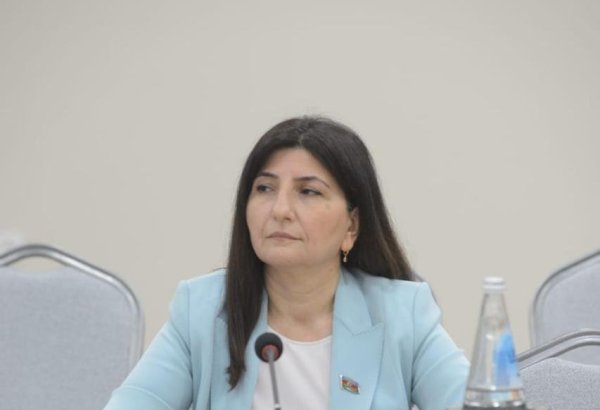 Азербайджанский депутат Севиль Микаилова приняла участие в обсуждениях на 296-й сессии Исполнительного комитета IPU в Греции (ФОТО)