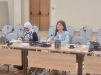 Азербайджанский депутат Севиль Микаилова приняла участие в обсуждениях на 296-й сессии Исполнительного комитета IPU в Греции (ФОТО)