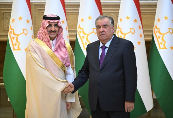 Tajikistan and Saudi Fund for Development set to expand project financing