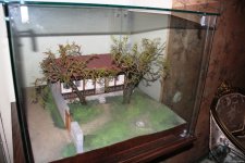 Здесь в Баку  как будто остановилось время и оно прекрасно... (ФОТО)
