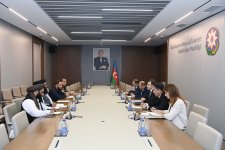 Азербайджан и Афганистан обсудили сотрудничество в транзитно-транспортной сфере (ФОТО)