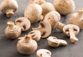Turkmenistan increases mushroom exports to Uzbekistan with Tokaýchy brand