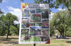 Инициативы азербайджанской диаспоры вносят важный вклад в азербайджано-украинские отношения (ФОТО)