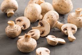 Turkmenistan increases mushroom exports to Uzbekistan with Tokaýchy brand