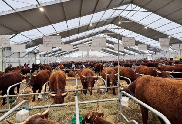 Kazakhstan discloses new investments in its north region’s agricultural sector