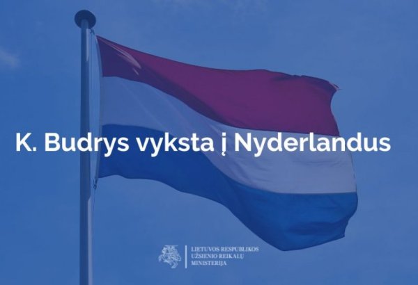 Lithuania, Netherlands rolling up sleeves to deepen political and economic co-op