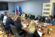 Обсуждено увеличение поставок азербайджанского газа в Словению