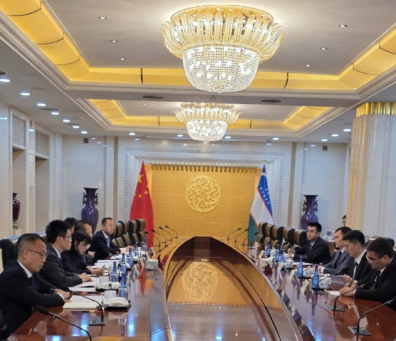 Uzbekistan-China focus on railway and multimodal transport development