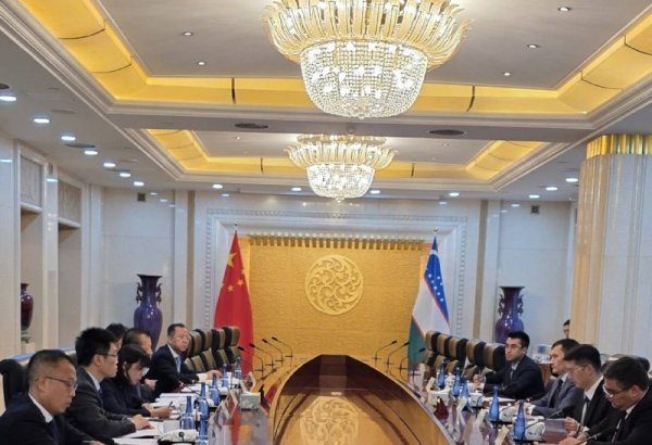 Uzbekistan-China focus on railway and multimodal transport development