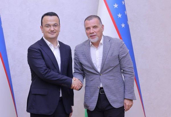 Uzbekistan, Turkish automotive tycoon weigh up partnership-booster chances