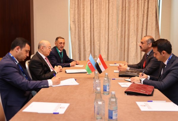 Azerbaijan holds high-level talks with ICDO member countries at 58th session (PHOTO)