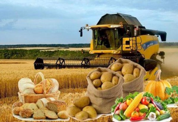 Kazakhstan strengthens food security by expanding agricultural output