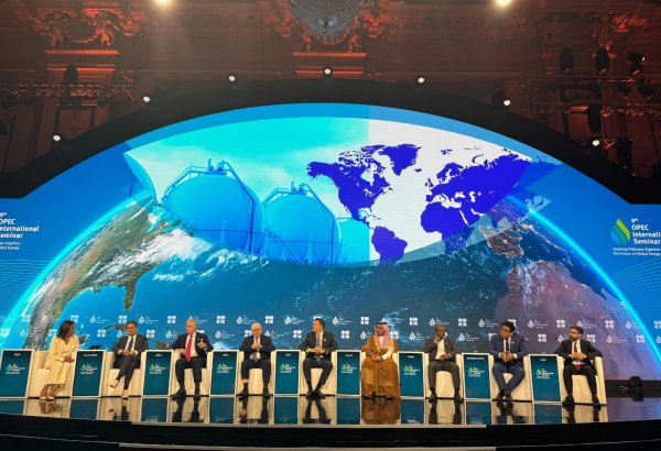 SOCAR chief represents Azerbaijan at 9th OPEC Int'l seminar in Vienna (PHOTO)