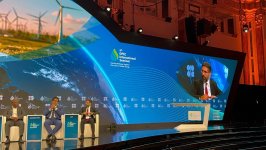 SOCAR chief represents Azerbaijan at 9th OPEC Int'l seminar in Vienna (PHOTO)