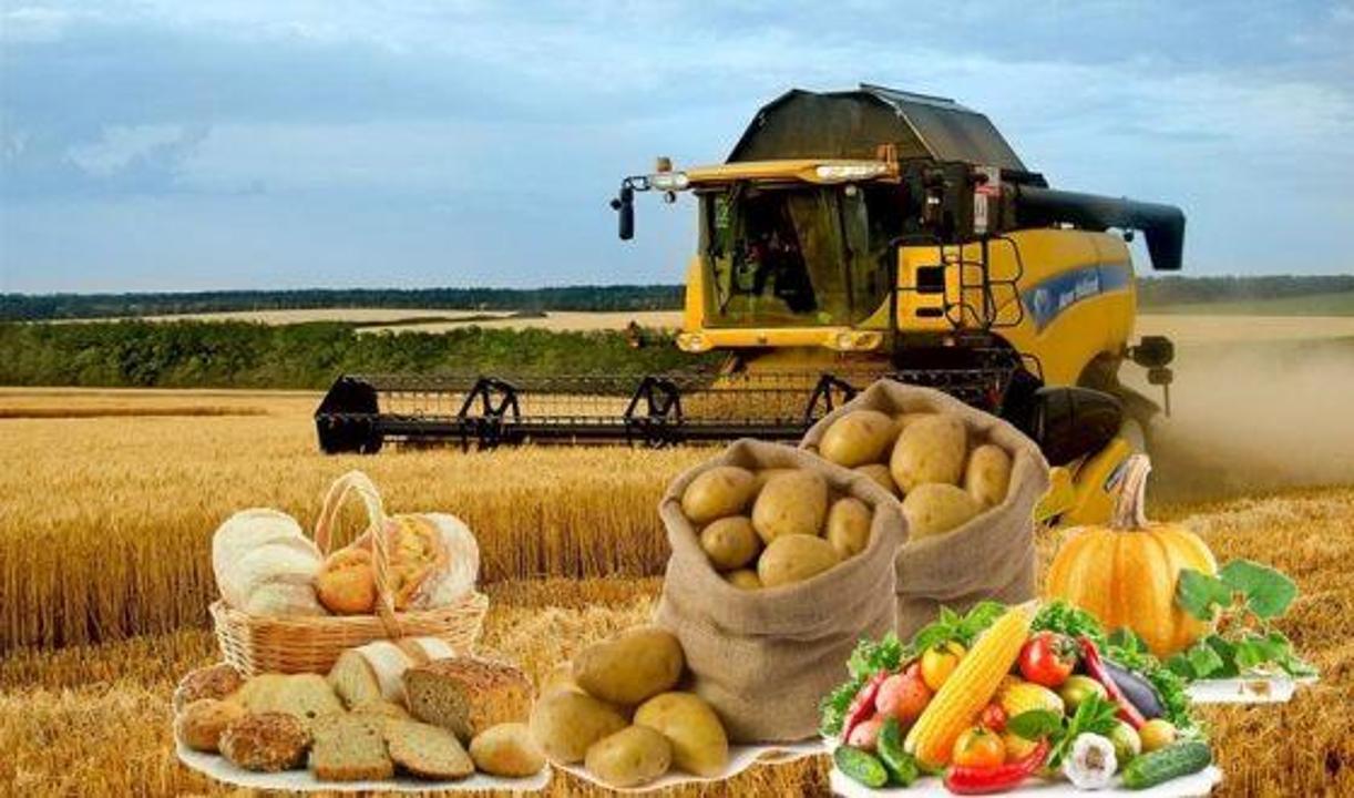 Kazakhstan strengthens food security by expanding agricultural output