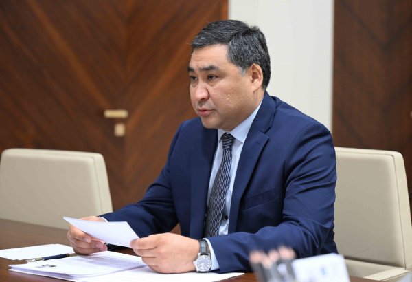 Kyrgyz-Turkish intergovernmental commission set to hash out diverse domains