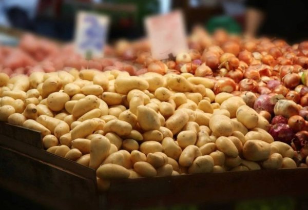 Kazakhstan sees first weekly halt in essential food price growth