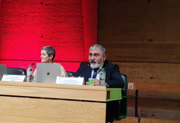 Azerbaijani journalists fell victim to Armenian aggression in Karabakh - Baku Network chief at UNESCO (PHOTO)