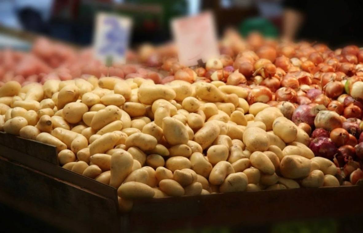 Kazakhstan sees first weekly halt in essential food price growth