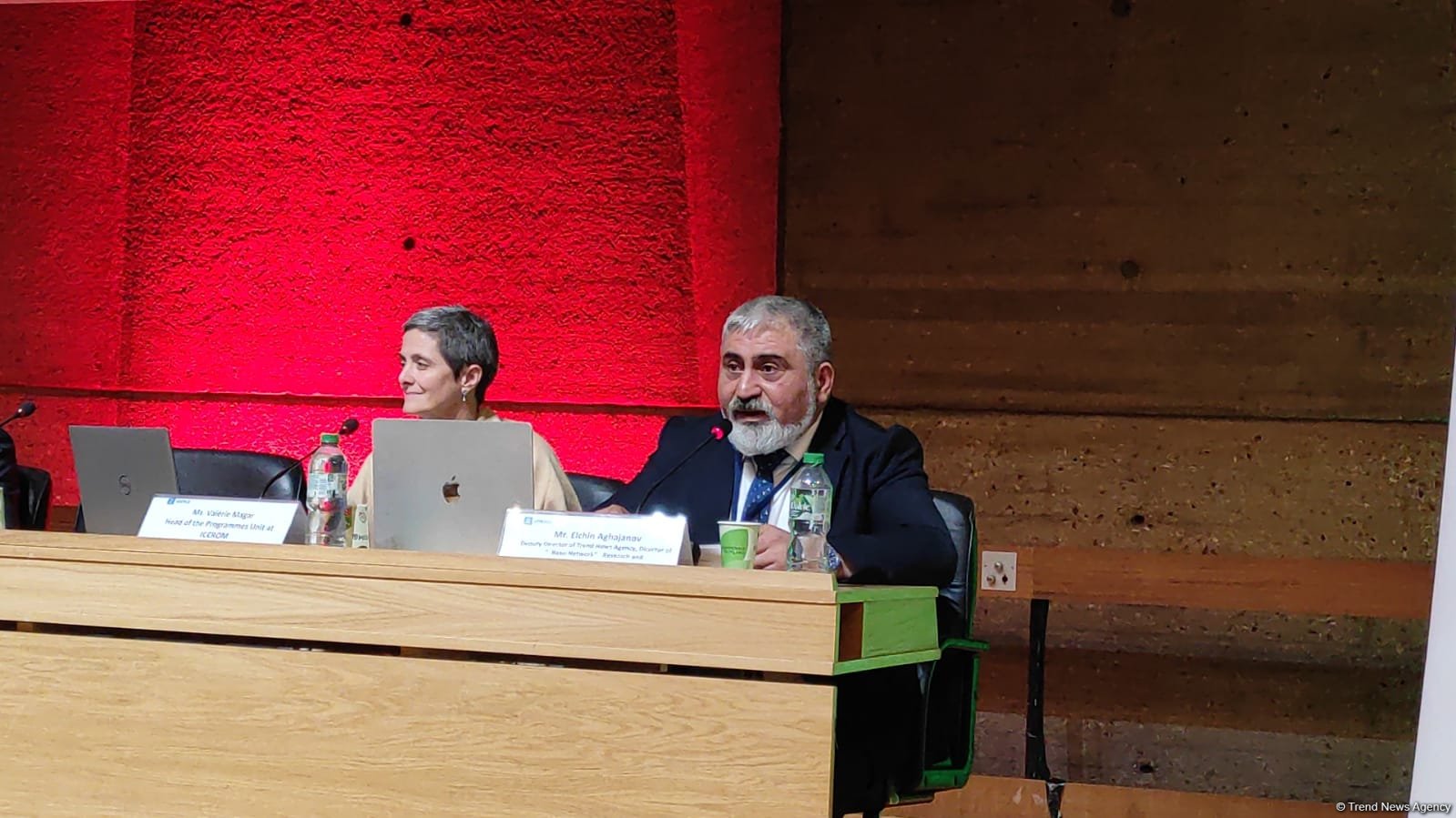 Azerbaijani journalists fell victim to Armenian aggression in Karabakh - Baku Network chief at UNESCO (PHOTO)