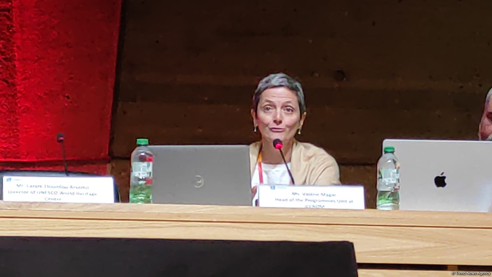 ICCROM praises Azerbaijan's support for raising awareness on cultural heritage preservation (VIDEO)