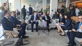 Azerbaijan plays strategic coordinating role in Eurasia - Deputy Minister (PHOTO)