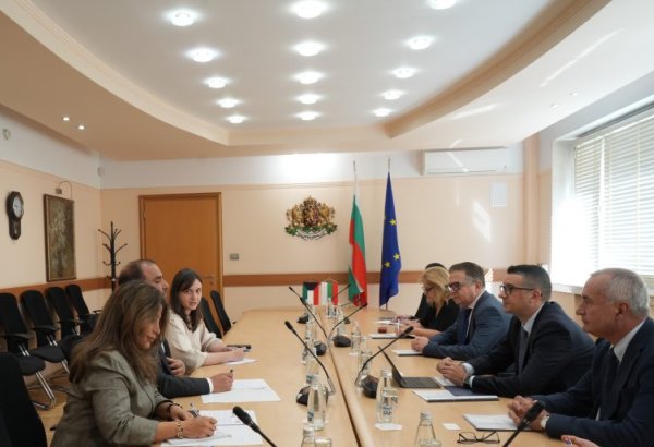Bulgarian economy minister proposes reviving Kuwait joint commission (PHOTO)