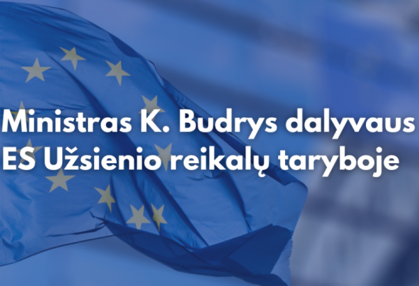 Lithuanian FM to participate in EU Foreign Affairs Council in Brussels