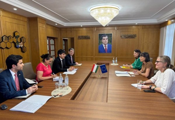 EU eyes investment in Tajikistan’s engineering and raw materials sectors
