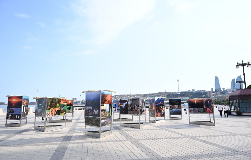 Heydar Aliyev Foundation VP Leyla Aliyeva attends opening of photo exhibition dedicated to 100th anniversary of environmental protection in Azerbaijan (PHOTO)