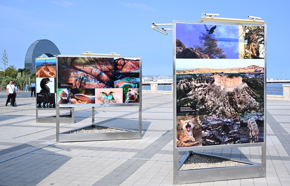 Heydar Aliyev Foundation VP Leyla Aliyeva attends opening of photo exhibition dedicated to 100th anniversary of environmental protection in Azerbaijan (PHOTO)