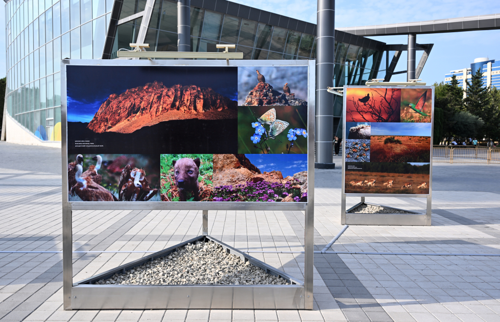 Heydar Aliyev Foundation VP Leyla Aliyeva attends opening of photo exhibition dedicated to 100th anniversary of environmental protection in Azerbaijan (PHOTO)