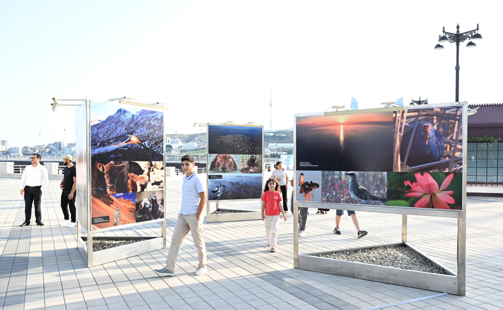 Heydar Aliyev Foundation VP Leyla Aliyeva attends opening of photo exhibition dedicated to 100th anniversary of environmental protection in Azerbaijan (PHOTO)