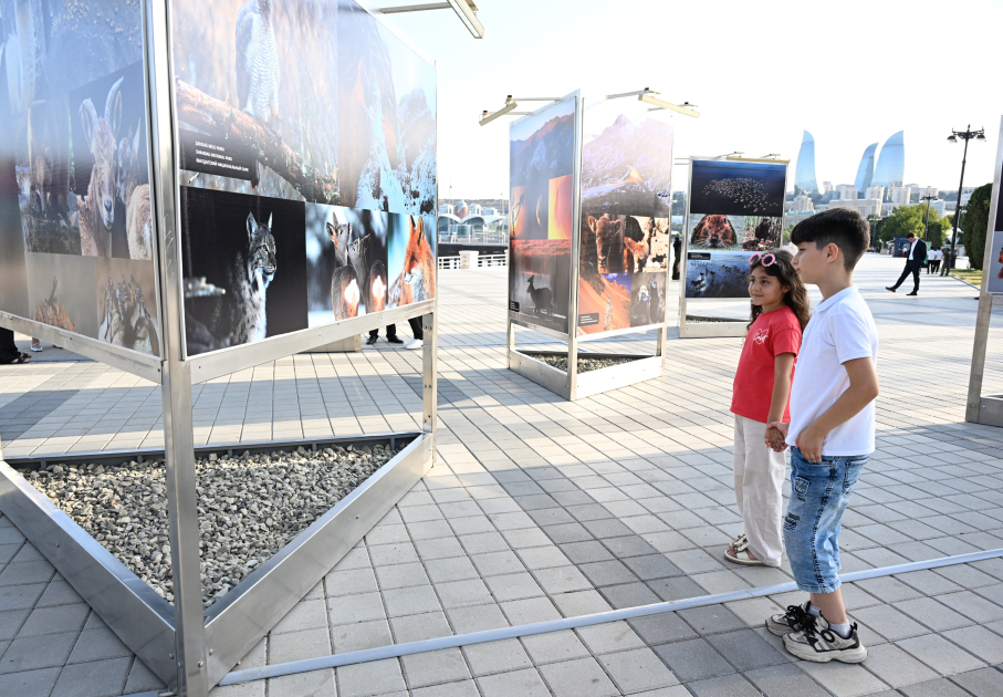 Heydar Aliyev Foundation VP Leyla Aliyeva attends opening of photo exhibition dedicated to 100th anniversary of environmental protection in Azerbaijan (PHOTO)