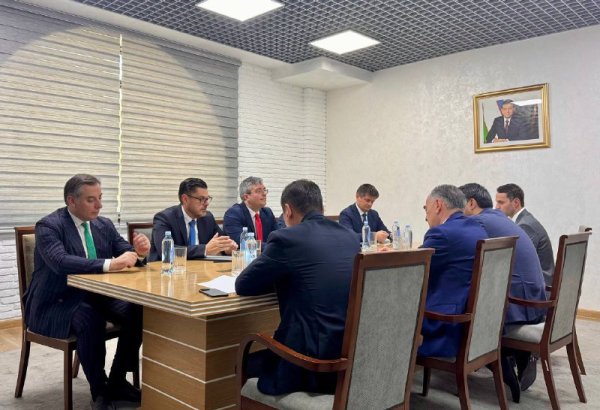 Uzbek-Hungarian talks focus on nuclear energy and industrial collaboration