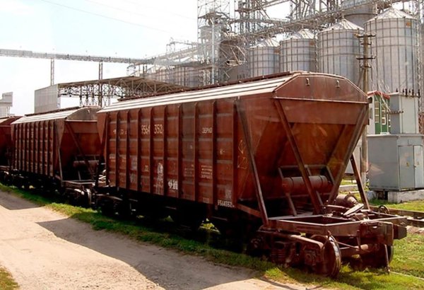 Kazakhstan reports increase in new crop grain exports for 2024-2025