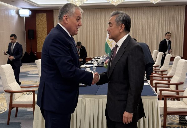 Tajikistan and China reaffirm strategic ties ahead of SCO summit