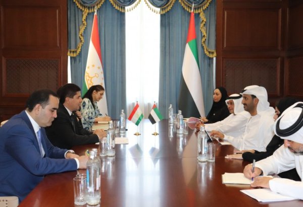 Tajikistan, UAE set sights on strengthening energy, industry, and trade ties