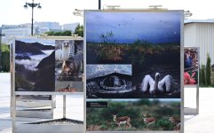 Heydar Aliyev Foundation VP Leyla Aliyeva attends opening of photo exhibition dedicated to 100th anniversary of environmental protection in Azerbaijan (PHOTO)