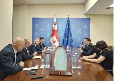 Turkmen envoy holds high-level talks at Georgian MFA
