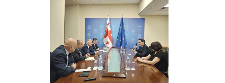 Turkmen envoy holds high-level talks at Georgian MFA