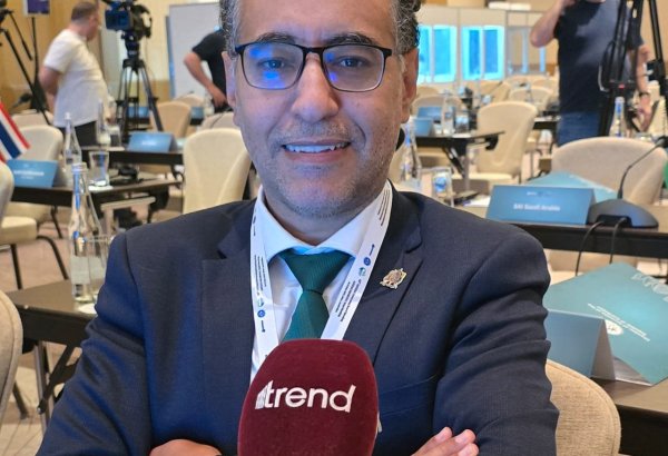 Morocco aims to boost energy co-op with Azerbaijan through imports, joint ventures